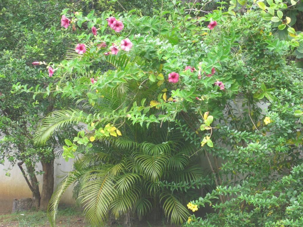 Ranith Villa Tangalle Esterno foto